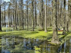 -渌洋湖湿地公园