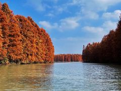 -上海海湾国家森林公园