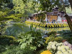 -杭州植物园