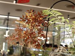 -绿茶餐厅(青岛城阳万象汇店)
