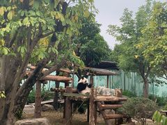 -南宁市动物园
