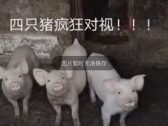 -椰小咖(亚龙湾东榕美食广场店)