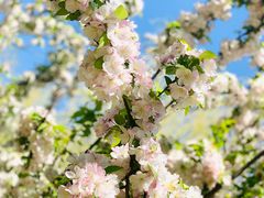 -中关村生命科学园