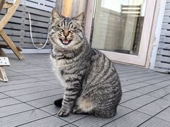 -前叁門