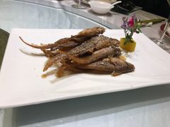 -骏莱海鲜鱼港(五角场店)