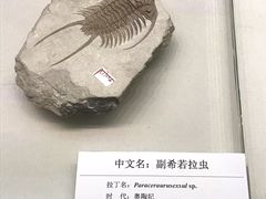 -天津自然博物馆