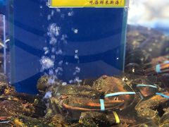 -新海渔港·胶东海鲜家常菜·家宴(奥体中心店)
