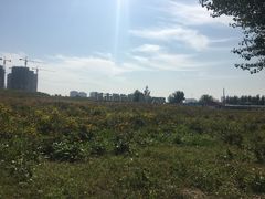 -丁香湖公园