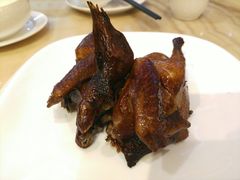 -锦粤宫·精致粤菜(深圳北站店)