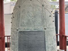 -西安碑林博物馆