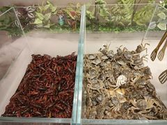 -小明家·鲜牛肉自选火锅(中街店)