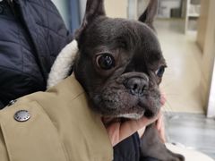 -爱侣宠医·鹦鹉专科·小型哺乳类·异宠专科(灵石路店)