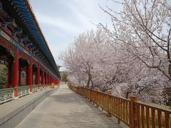 -兰山公园