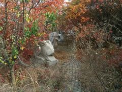 -锦屏山旅游度假区