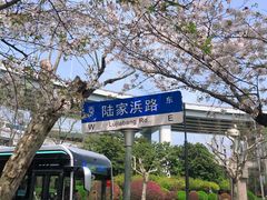 -南浦大桥长途旅游客运站