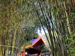 -清雅臻品·竹林院落·新派青岛菜(崂山店)