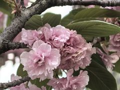 -幕燕滨江·燕子矶公园