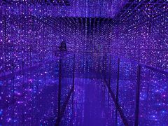 -正佳自然科学博物馆