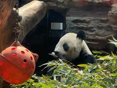 -石家庄市动物园