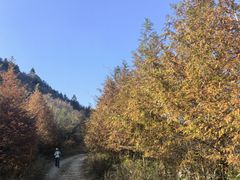 -东白山