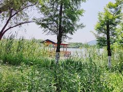 -长田漾湿地公园