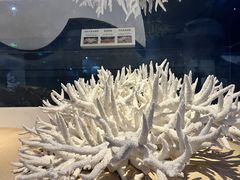 -天津自然博物馆
