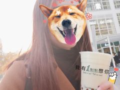 -1点点(银座和谐广场店)