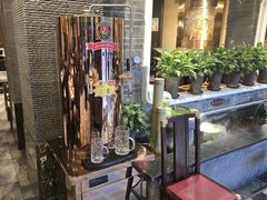 -红鼎坊·老成都火锅(新南门店)