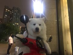 -杭州浪浪浪水公园