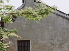 -上海滨江森林公园