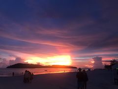 -真浪花园海鲜餐馆