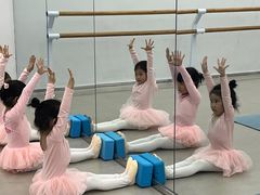 -红舞鞋舞蹈教育(近江校区)