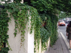 iphone_upload_pic-八大关景区