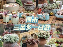 -云里小坐·小院里·团建·宴请·下午茶(三圣乡店)