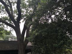 -焦山景区-万佛塔