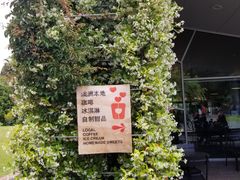 -斐兹洛伊花园
