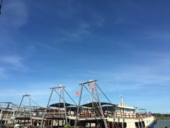 -大湾区中央湿地公园-十九涌