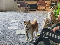 -J Create城市露营咖啡·简餐·宠物(上海动物园店)