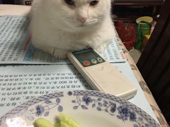 -美联众合动物医院·24h京西诊疗中心