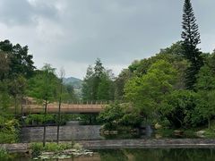 -云溪植物园