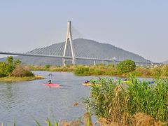 -芒洲湿地公园