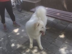 -宝乐康动物医院(北潞园店)