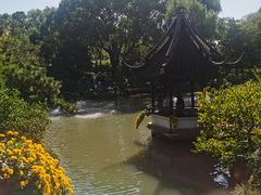 -上海醉白池公园