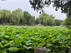 -莲池书院博物馆