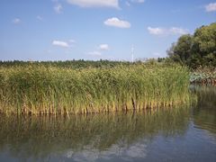 -溱湖国家湿地公园