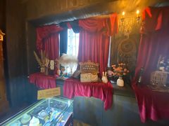 -雪灵魔法世界SHELLY’S TAROT(大良桂畔里店)