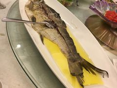 -金熙楼(熙南里店)