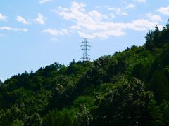 -白水寺森林公园