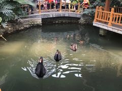 -南宫温泉水世界