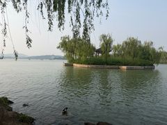-皇家御河游(紫御湾码头)